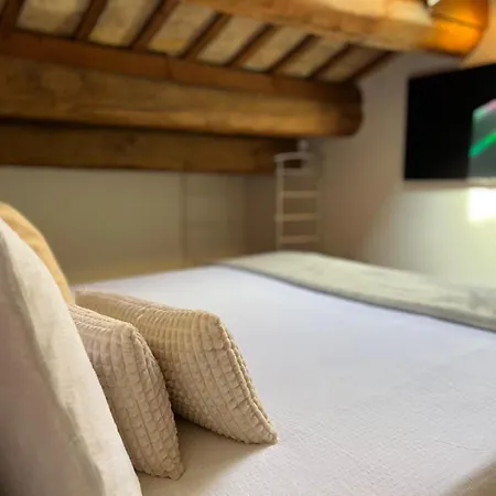 Domus Cerchio 19 - Affitti Brevi Italia * Rawenna